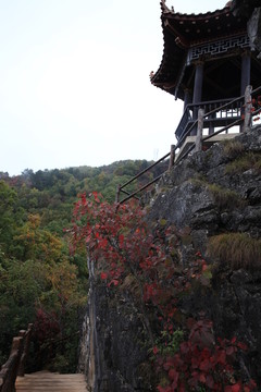 塔云山