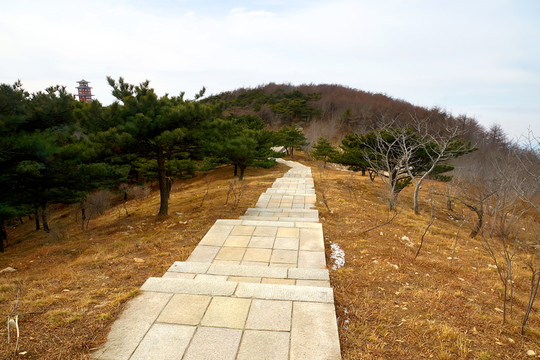 泰山風(fēng)光