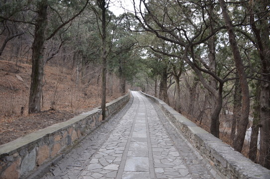 長長的上坡路