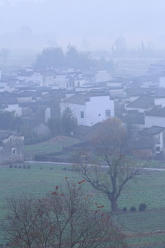 安徽盧村