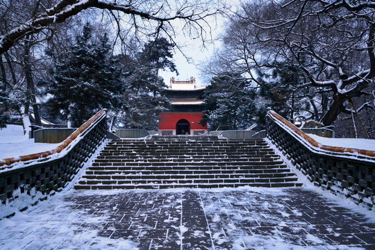 沈陽東陵公園雪景