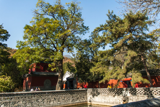 大覺寺旅游風(fēng)光