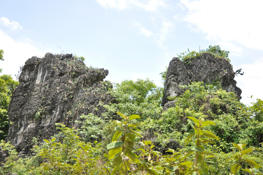 青山綠水