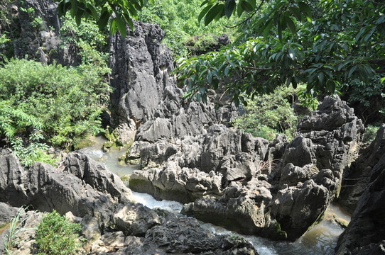 貴州安順天星橋景區(qū)水上石林