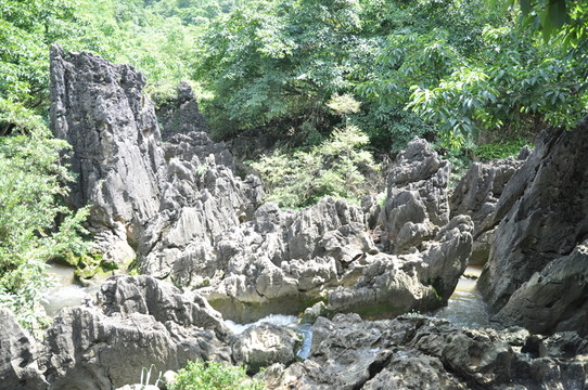 貴州安順天星橋景區(qū)水上石林