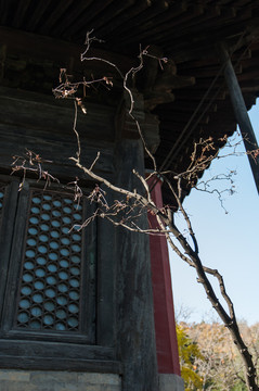 古建筑文化景觀