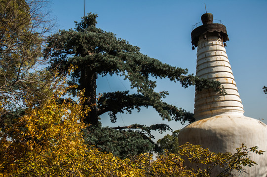 大覺寺白塔