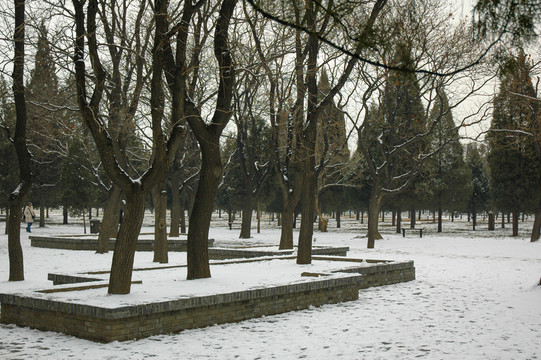 天壇園林雪景