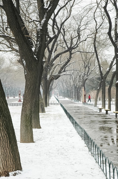 北京 天壇 雪