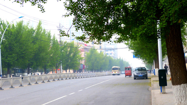 城市道路