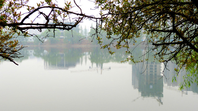 湖面風景