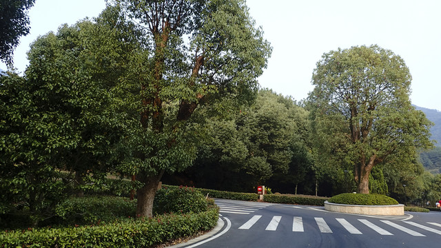 綠色公路