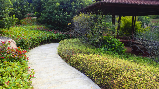 公園小路