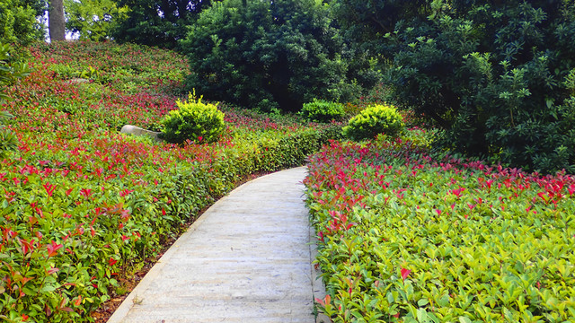 公園小路