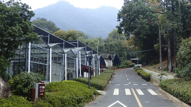 公路