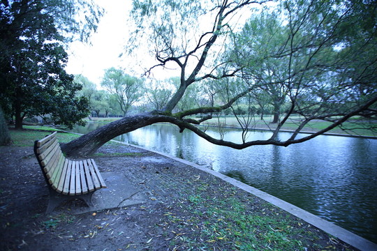 秋天的公園