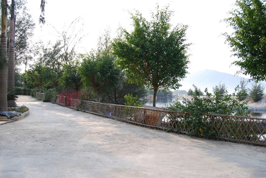 山莊水泥道路