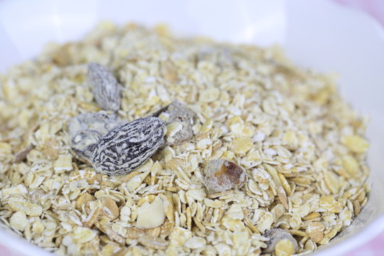 進(jìn)口燕麥片