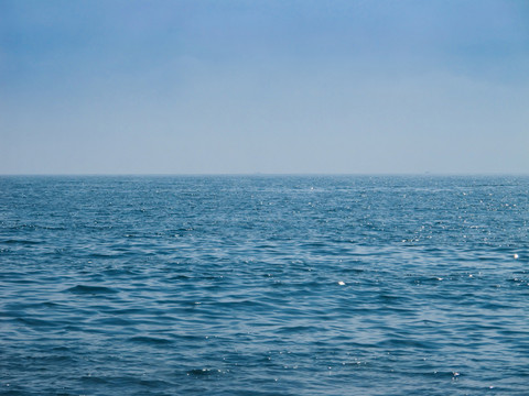 大海