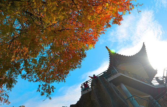 石林風(fēng)景區(qū)