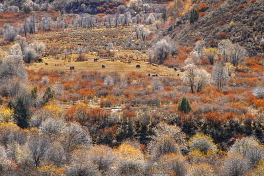 山川秋色
