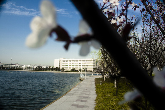 中式園林湖景