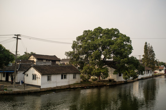金澤古鎮(zhèn)