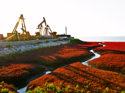 油田 抽油機(jī) 紅海灘
