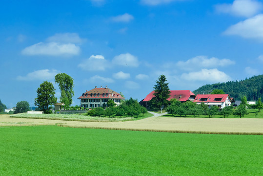 瑞士莊園