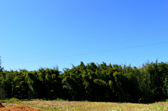 農(nóng)村風(fēng)光