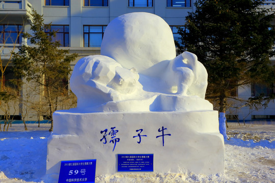 國際大學(xué)生雪雕大賽