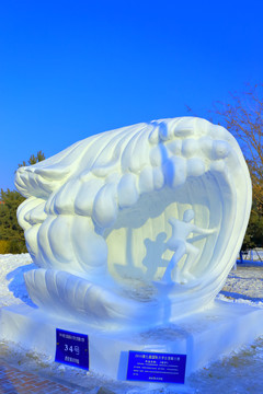 國際大學(xué)生雪雕大賽