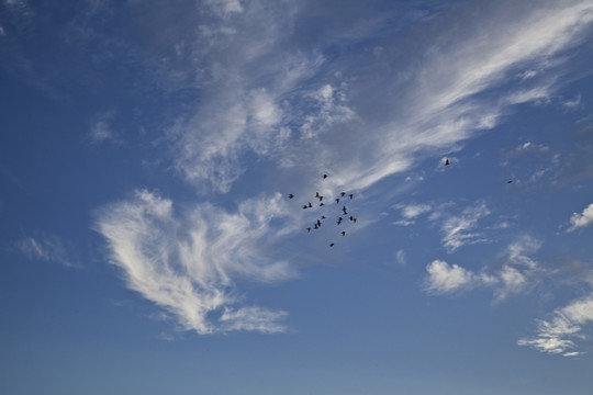 天空