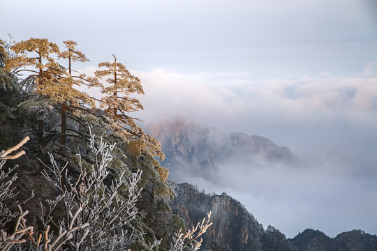 黃山云海