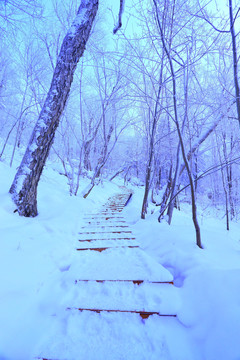 冰雪旅游