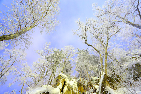 冰雪旅游