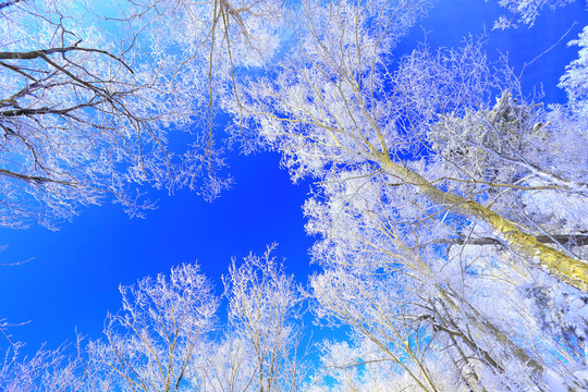 冰雪旅游