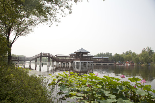 公園