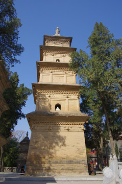 陜西長安興教寺