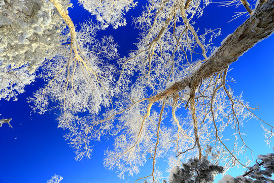 冰雪旅游