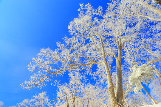 冰雪旅游