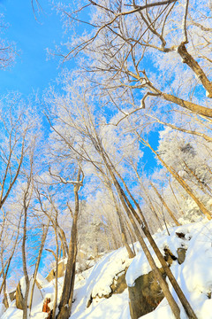 冰雪旅游