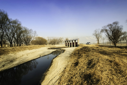 黃河濕地