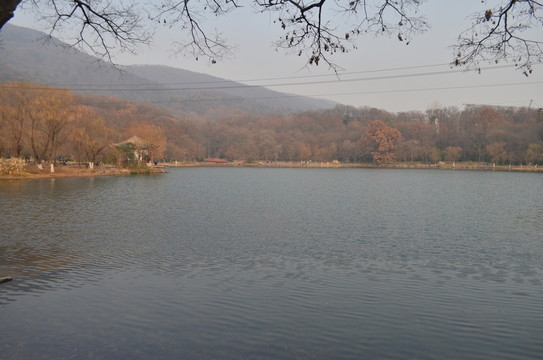 紫霞湖