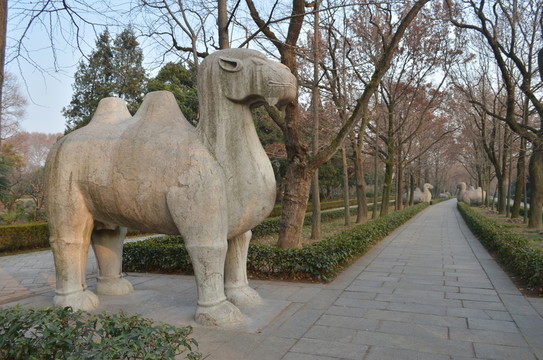 明孝陵駱駝
