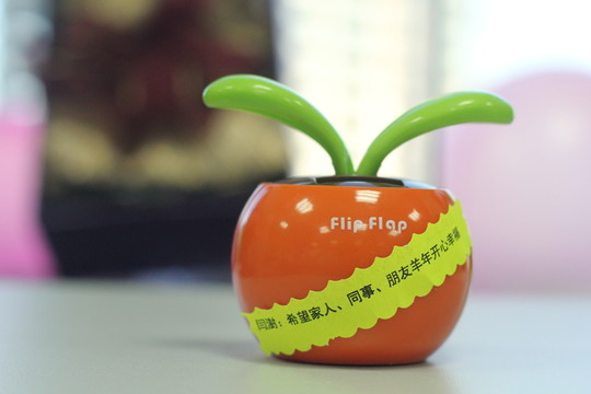 蘋(píng)果