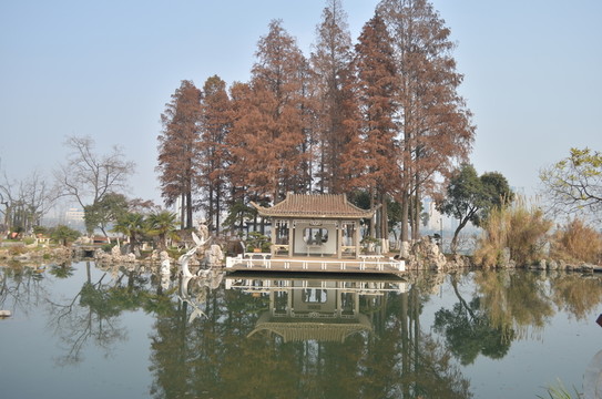 玄武湖景色