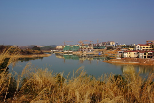 羅山湖