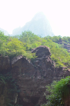 迷人景色