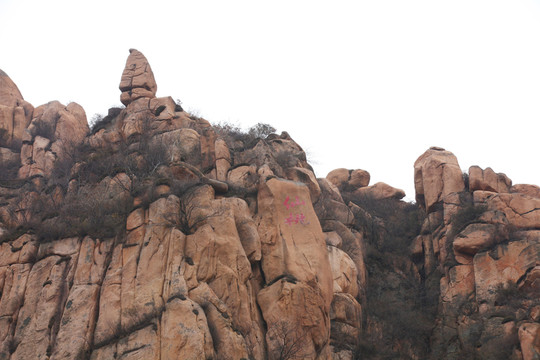 山